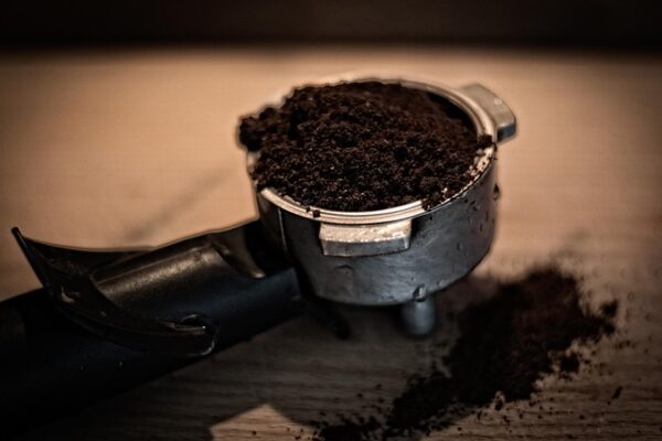 Café Arabica Sauvage